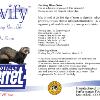 Label Design