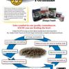 Sales Sheet