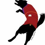 Drawing of coat and my dog